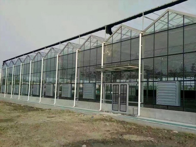 Installation Ventilation Equipments for Greenhouse